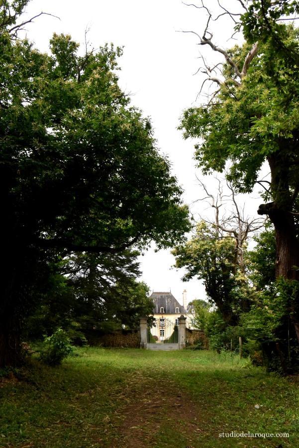 Domaine De La Briouse Bed & Breakfast Sanxay Eksteriør bilde