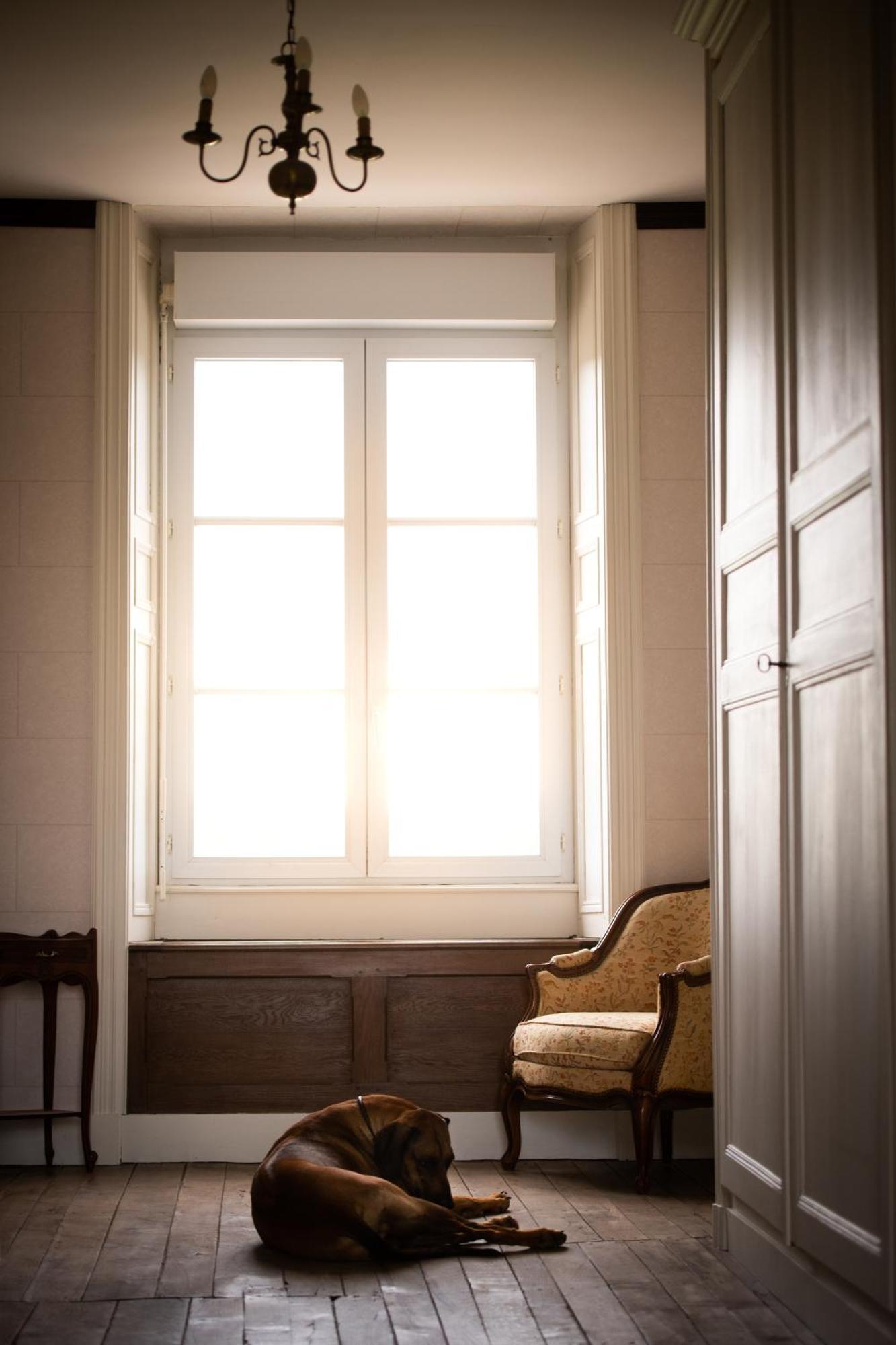 Domaine De La Briouse Bed & Breakfast Sanxay Eksteriør bilde