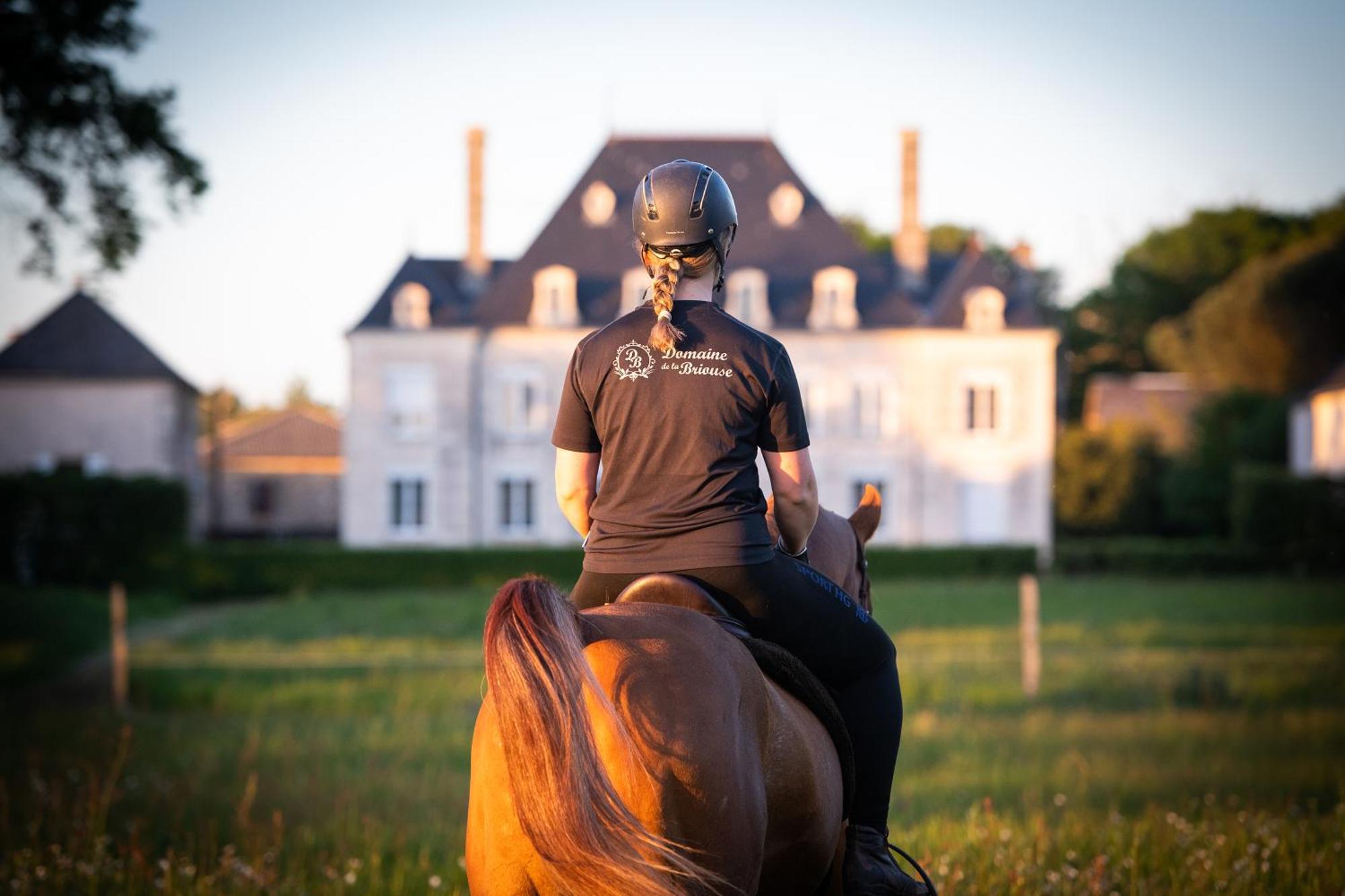 Domaine De La Briouse Bed & Breakfast Sanxay Eksteriør bilde