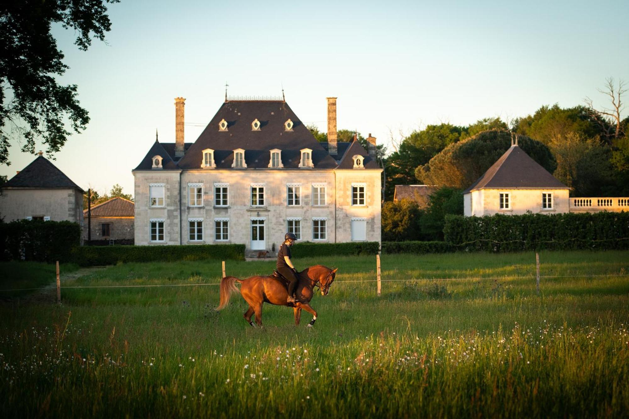 Domaine De La Briouse Bed & Breakfast Sanxay Eksteriør bilde