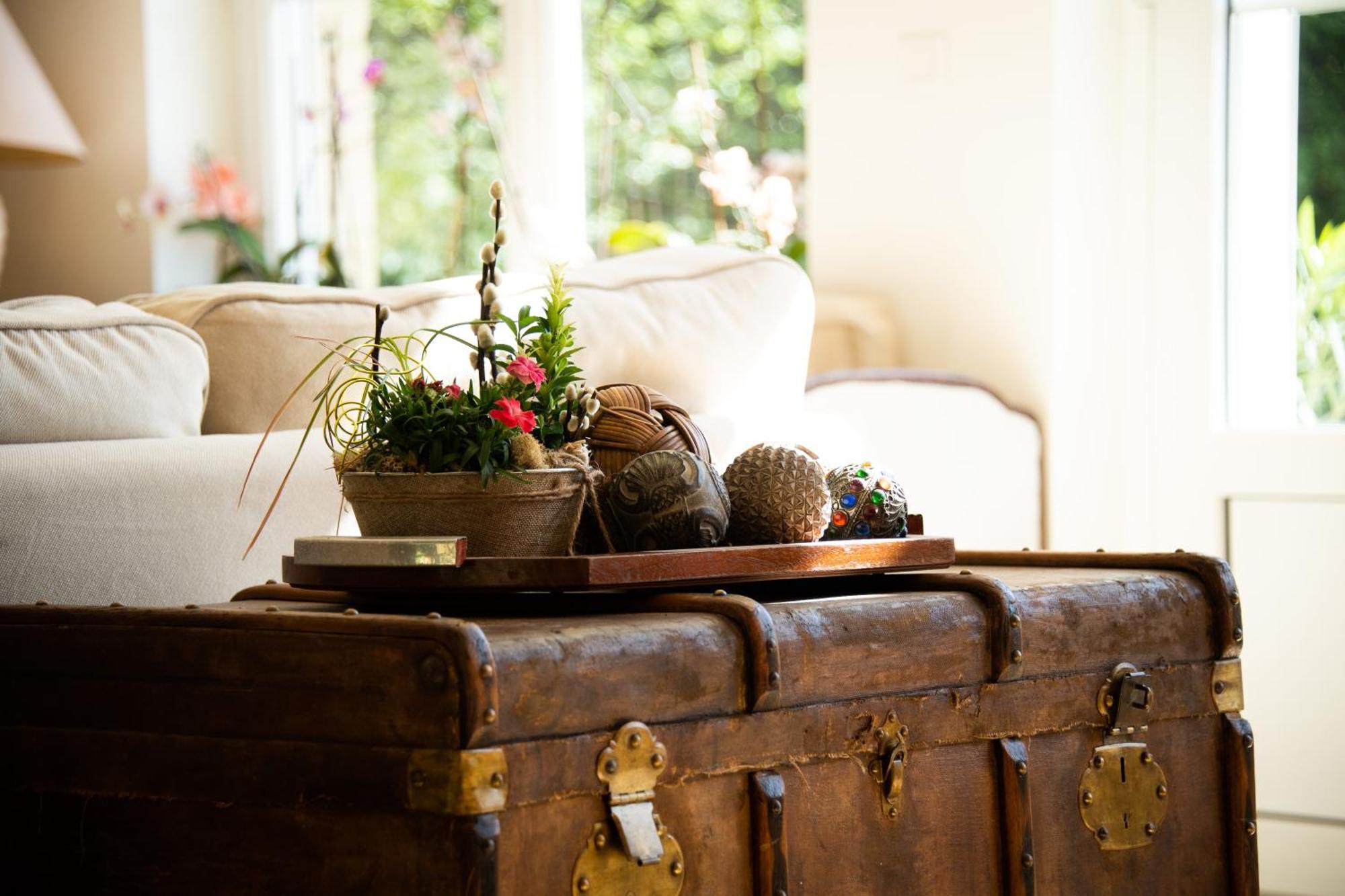 Domaine De La Briouse Bed & Breakfast Sanxay Eksteriør bilde